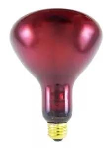 Brandt Industries Infrared Lamp 175 Watts - M-564455-3119 | Each