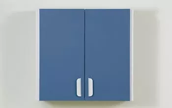 Clinton Industries Single Cabinet Managed Care Quick Wall Mount Chip Resistant PVC 1 Adjustable Shelf - M-705568-2120 | Each