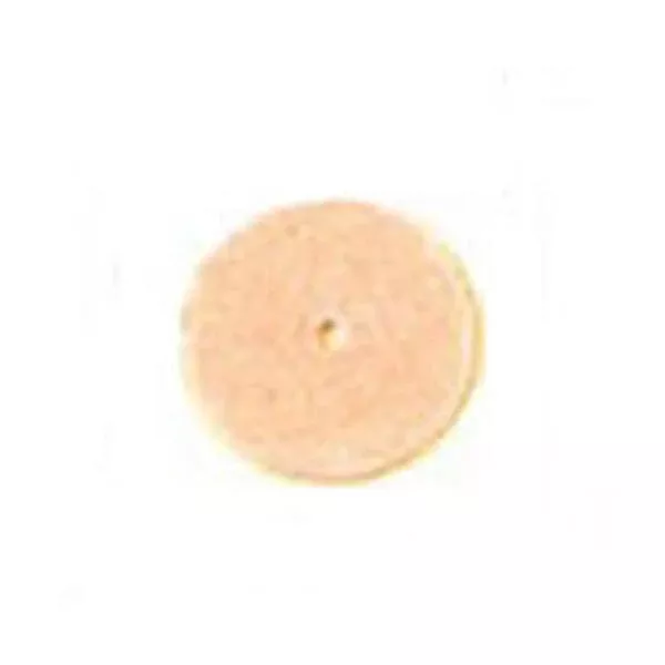 E C MooreGarnet Disc 100/Bx, 12 BX/CA (PH-78-GC)