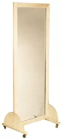 Fabrication Enterprises Mobile Mirror 22 X 24 X 60 Inch - M-1073108-4417 | Each
