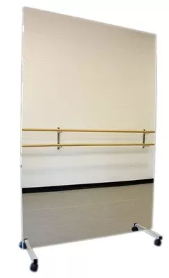 Fabrication Enterprises Mobile Mirror Ultra-Safe 24 X 24 X 72 Inch - M-1043408-1027 | Each