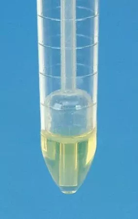 Fisher Scientific Fisherbrand Urinalysis Tube Conical Bottom Plain 15 mL Without Color Coding Snap Cap Polystyrene Tube - M-801397-4322 | Case of 1000
