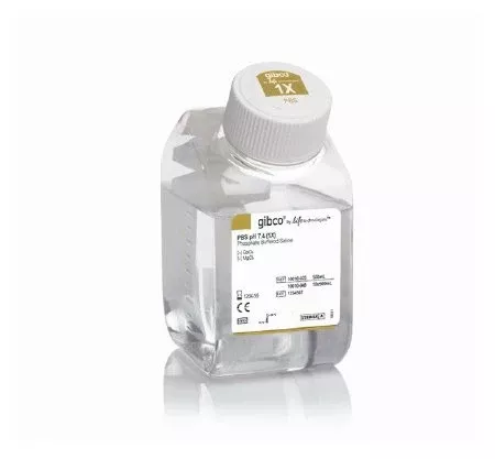 Fisher Scientific Histology Reagent Gibco Phosphate Buffered Saline (PBS) 1X / pH 7.4 500 mL - M-976779-3026 | Each