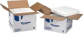 Fisher Scientific Insulated Shipper ThermoSafe Inside Dimension: 21 L X 15.38 W X 15.25 D Inch, Outside Dimension: 24 L X 18 W X 17.88 H Inch, 1-1/8 Inch Thk, Multipurpose - M-588255-4910 | Case of 2