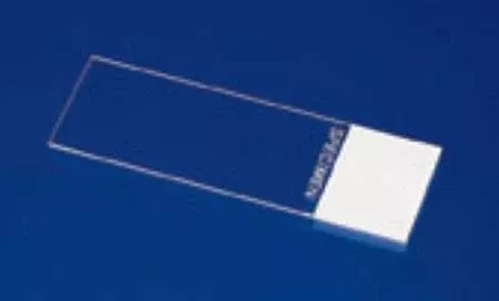 Fisher Scientific Microscope Slide Superfrost 25 X 75 X 1 mm Frosted End - M-687847-2616 | Pack of 2