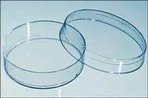 Fisher Scientific Petri Dish BD Falcon Polystyrene - M-632244-4498 | Case of 1