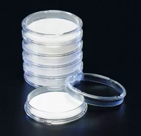 Fisher Scientific Petri Dish Polystyrene - M-628856-2186 | Pack of 150