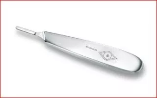 Havel'sHandle Surgical Blade #6 Stainless Steel Ea (HAN6)