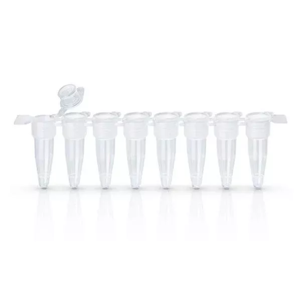 Kendro Laboratory Products EasyStrip Tube Strip 20uL 250/Ca (AB2000)
