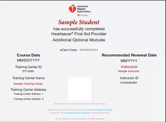 Laerdal MedicalE-Card Course Completion Heartsaver First Aid Ea