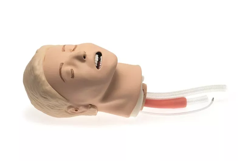 Laerdal MedicalHead Intubation Resusci Anne Ea