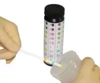 LW Scientific Regent Strips Labstix Blood, Glucose, Ketone pH, Protein 100 per Bottle - M-667784-3546 | VL/1