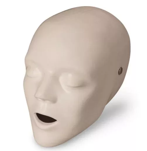 Nasco Company Head Replacement Life/form Ea