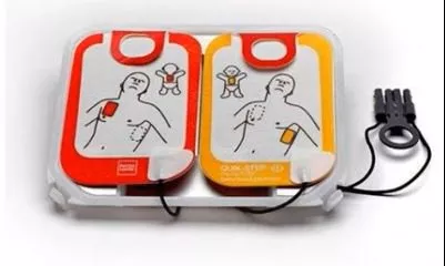 The Palm Tree Group Defibrillator Electrode Pad Lifepak Adult / Child - M-1137561-1394 | Each