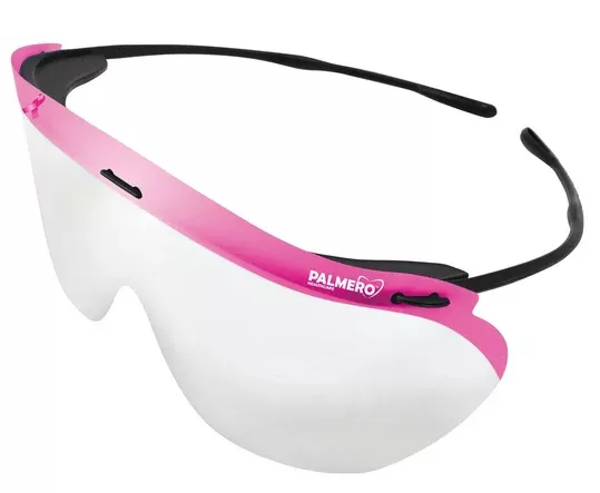 Palmero Sales Eyewear Safety Dynamic Clear Lens / Black Frame Disposable Ea