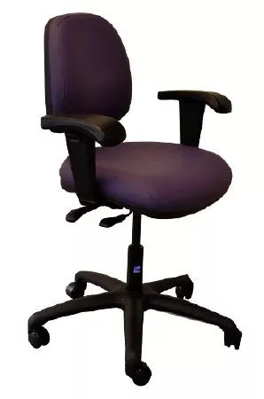 Pedigo Products Task Chair Ergo Series Raven Black Adjustable Armrests - M-1048793-2247 | Each
