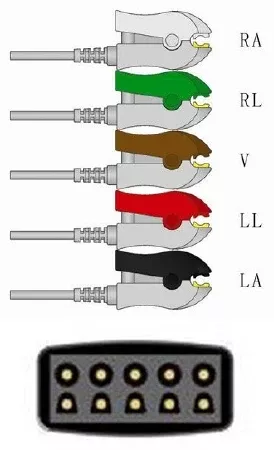 Sage Services Group ECG Leadset Sage Services 5 Lead, Grabber, Shielded, 1.3m - M-796667-3715 | Each