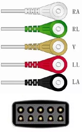 Sage Services Group ECG Leadset Sage Services 5 Lead, Snap, Shielded, 0.9m - M-796666-2620 | Each