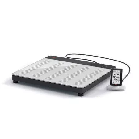 Seca Column Scale with Handrail seca 650 Touch Screen Display 800 lbs. Capacity Clear AC Operation - M-1166260-1119 | Each