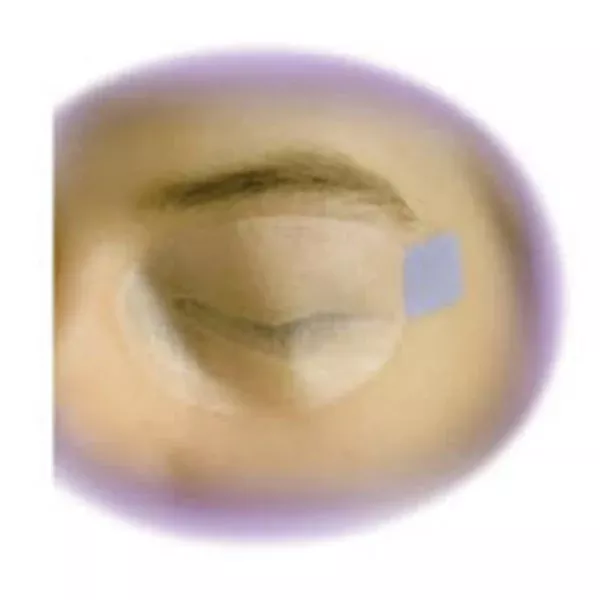 Sharn Guard Surgical Eyegard Clear Disposable 50Pr/Bx (S2020)