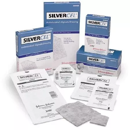 Systagenix Wound Management Dressing Rope Silvercel Hi G Alg 1x12" Strl White Hi Abs 5x5/Bx