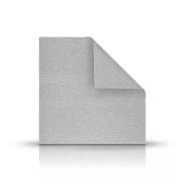 Systagenix Wound Management Dressing Silvercel Hi G Alg 2x2" Strl Adh White Hi Abs 10/Bx, 5 BX/CA (800202)