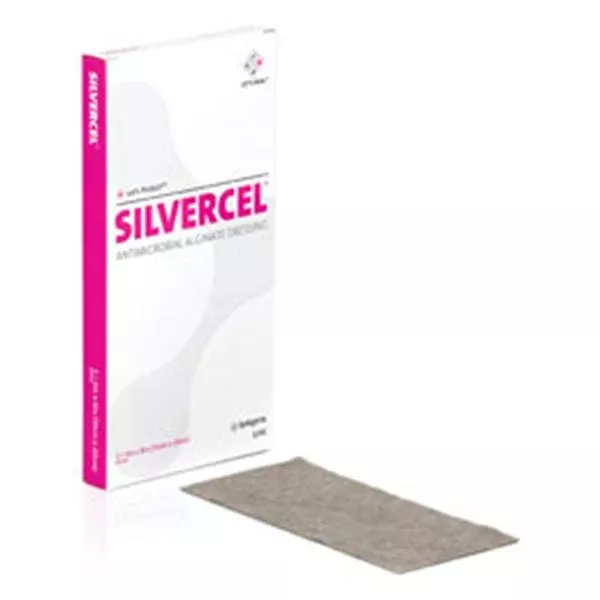 Systagenix Wound Management Dressing Silvercel Hi G Alg 4x8" Strl White Hi Abs 5x5/Bx