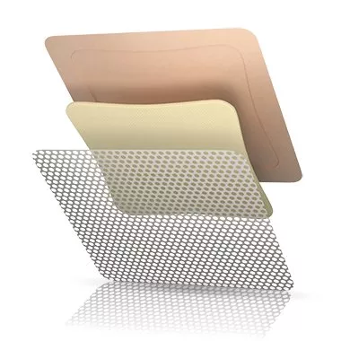 Systagenix Wound Management Dressing Wound Tielle Essential Border PU Fm 5x5" Slcn Adh 100/Ca (TLEN1212U)