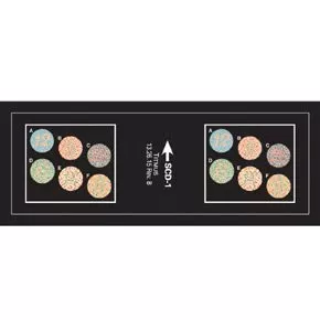 Titmus LLC Vision Screening Slide Color Blind Test - M-870062-1972 | Each