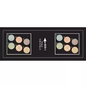 Titmus LLC Vision Screening Slide Titmus Color Blind Test - M-654229-3191 | Each