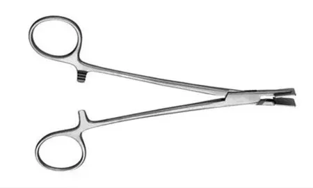 V Mueller Forcep Gelfoam Pressure House 6-1/4" 1.25x1.25cm Ea