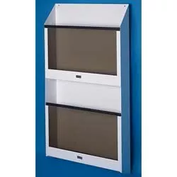 Wolf X-Ray X Ray Wall File 221 Double 4 X 5-1/4 X 43 Inch - M-718903-2595 | Each